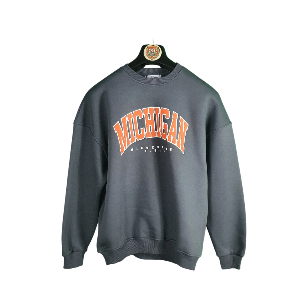 Gray sweatshirt with 'Michigan' printed on it, hanging on a white background